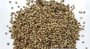 Fresh Organic White Pepper