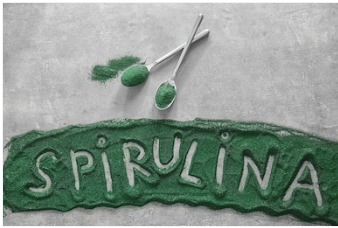 Organic/Inorganic Spirulina Powder Grade: Aaa