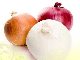 Top Quality Dehydrated Onion