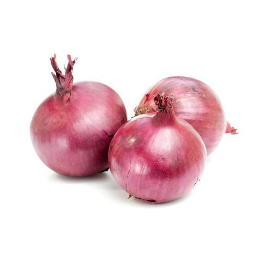 Best Quality Fresh Onion
