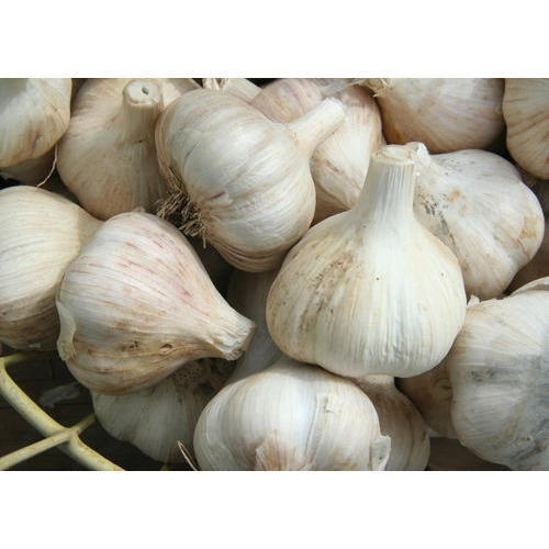Rich Texture Fresh Garlic