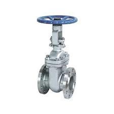 Stainless Steel Check Valves