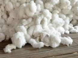 High Grade Raw Cotton