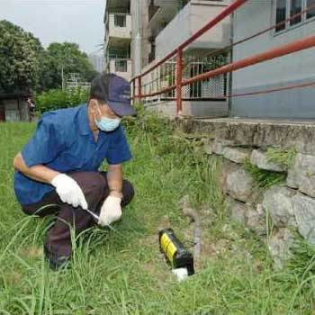 Indoor And Outdoor Rodent Control Services By Pest Control & Eradication Services Private Limited