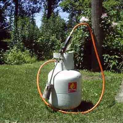 Weed Control Services Ash %: 95%