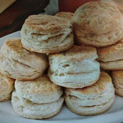 Bakery Tasty Plain Biscuits