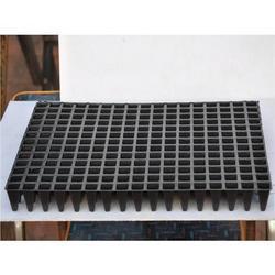 Customized Design Plant Seedling Tray