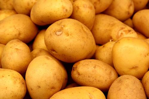 Fresh Organic Potato - Whole, High-Grade Organic Cultivation for Health Benefits