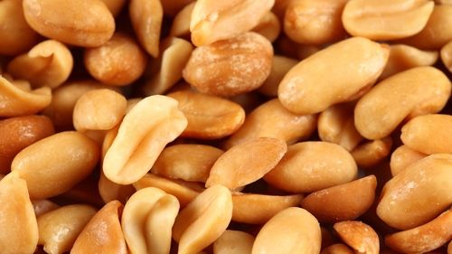 Fresh Salted Roasted Peanuts