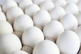 Natural Fresh White Eggs