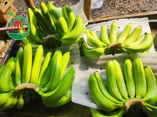 Fresh Green Cavendish Banana