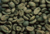 Indian Green Coffee Beans