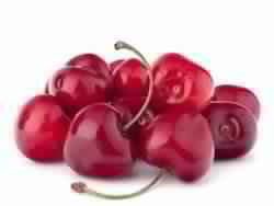 Fine Quality Tart Cherry Extract