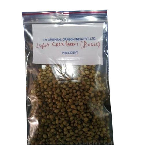 Coriander Double Parrot Seeds