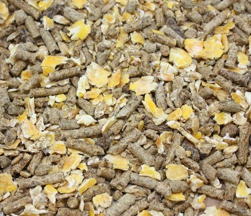 High Nutritional Animal Feed at Price 15 INR/Kilograms in Hyderabad