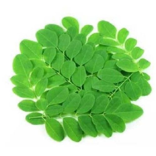 Moringa Oleifera Dried Leaves