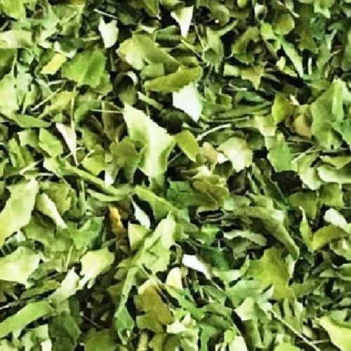 Herbal Product Organic Moringa Dried Leaves