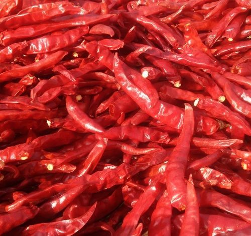 Guntur Sannam Red Mirchi