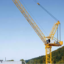 Material Lifting Crane