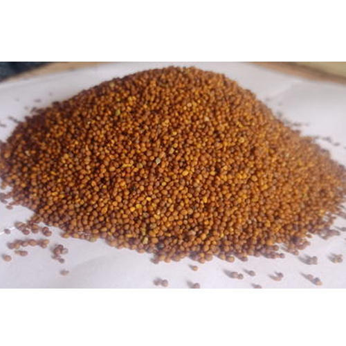 Red Mustard Seeds