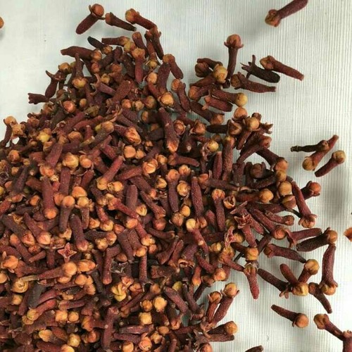 Cloves As An Antifungal Treatment