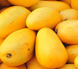 Fresh And Healthy Mango