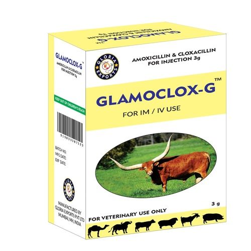 GLAMOCLOX G - Amoxicillin and Cloxacillin Injection