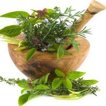 Quality Approved Medicinal Herbs