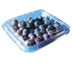 Plastic Fruit Blister Tray