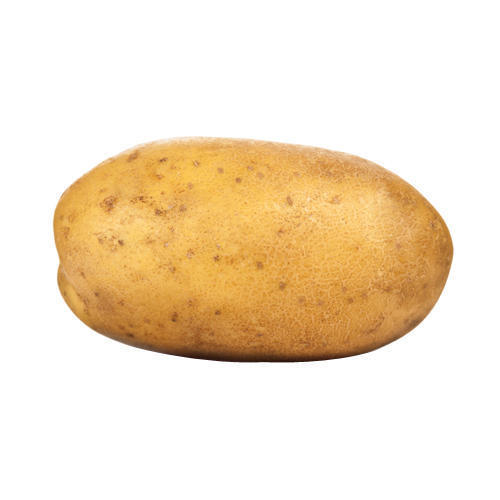 Top Class Organic Potato