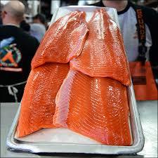 Frozen King Salmon Fish