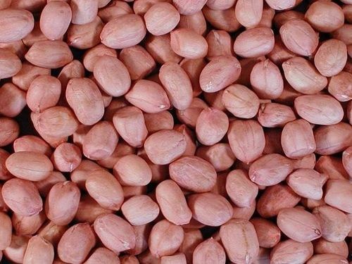 Ground Nut - 38/42, 40/50, 50/60, 60/70, 70/80, 80/90 | Highly Pure, Nutritious and Healthy Groundnut