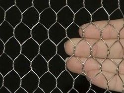 Ss Chicken Wire Mesh