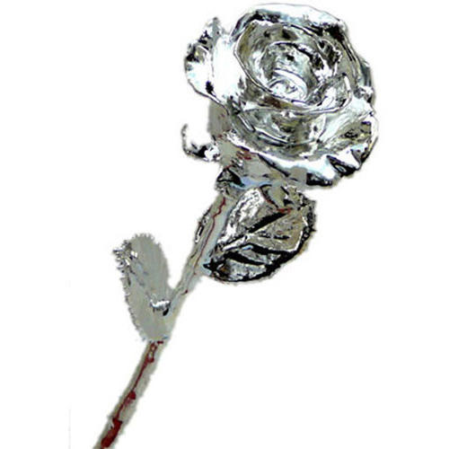 Brass Silver Plated Rose