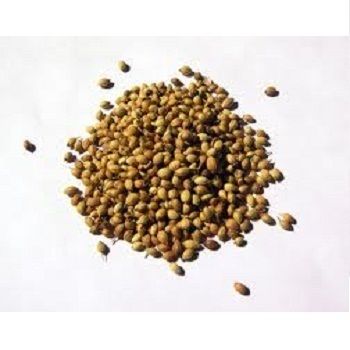Fine Processed Coriander Seed