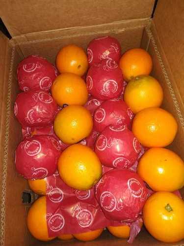 Natural Farm Fresh Orange