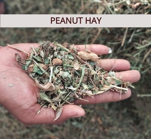 Peanut Hay