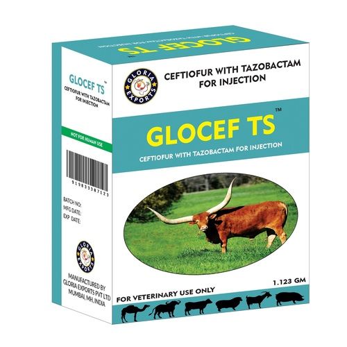 GLOCEF TS - Ceftiofur with Tazobactam For Injection