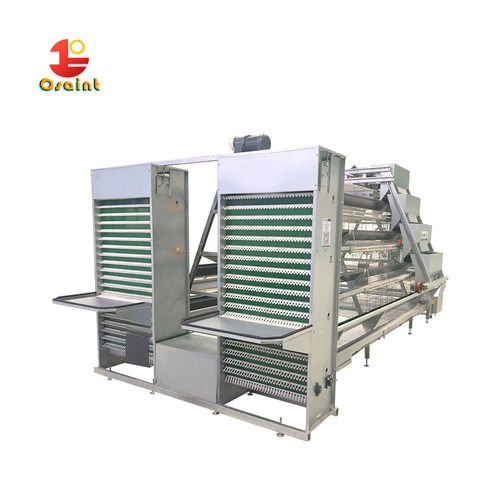 Automatic Layer Chicken Breeding Machine