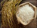 Organic Pure White Basmati Rice