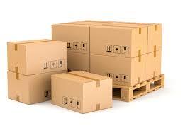 Cargo Package Box Service By Nippon Express India Pvt. Ltd.
