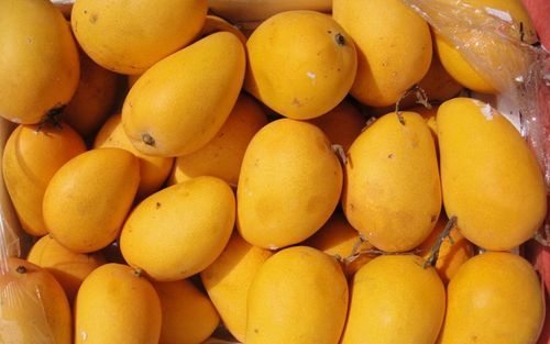 Farm Fresh Indian Mangoes