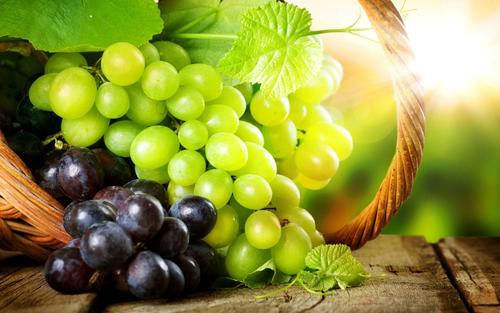 Green Fresh Grapes [Black, Green]