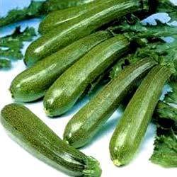 Green Zucchini Vegetables