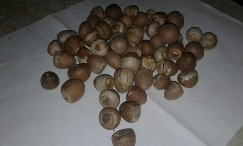 Naturally Dried Areca Nut