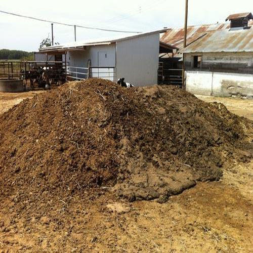 Buffalo Dung Compost