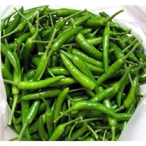 Fresh Green Chilli - Superior Quality, Aromatic Flavor and Spicy Heat | Ideal for Culinary Delights and Gourmet Dishes