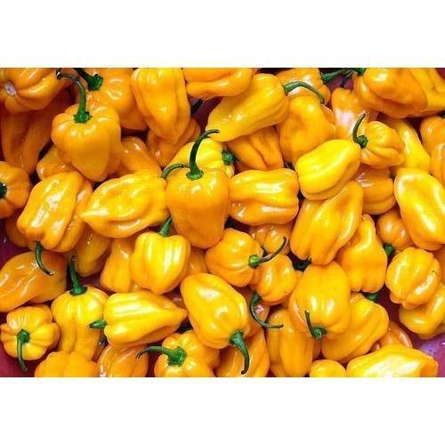 Fresh Yellow Chilli