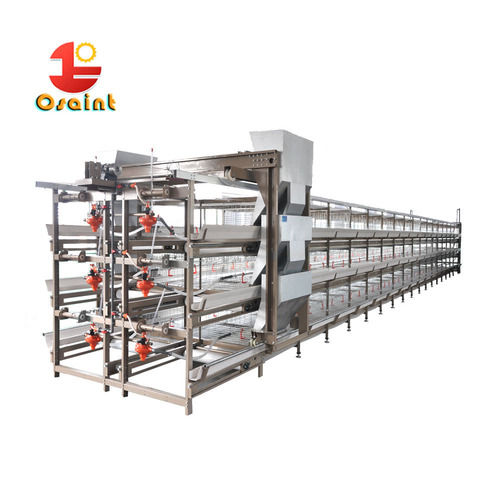 Automatic Broiler House Layer Poultry Cages For Poultry Farming