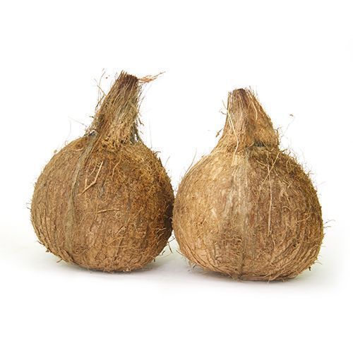  कम कीमत वाला भूसा हुआ नारियल